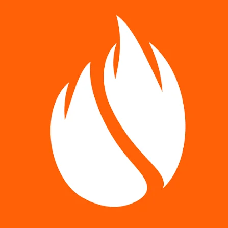 FirewoodFX Review